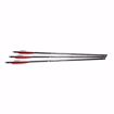 AirSaber Air Archery Arrow Rifle with Scope