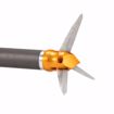 INNERLOC BLOOD BUG 50 GRAIN BROADHEAD