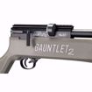 Umarex Gauntlet 2 SL25 PCP Pellet Rifle